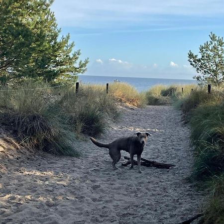 Reet Am Strand Mit Hund Karlshagen ภายนอก รูปภาพ