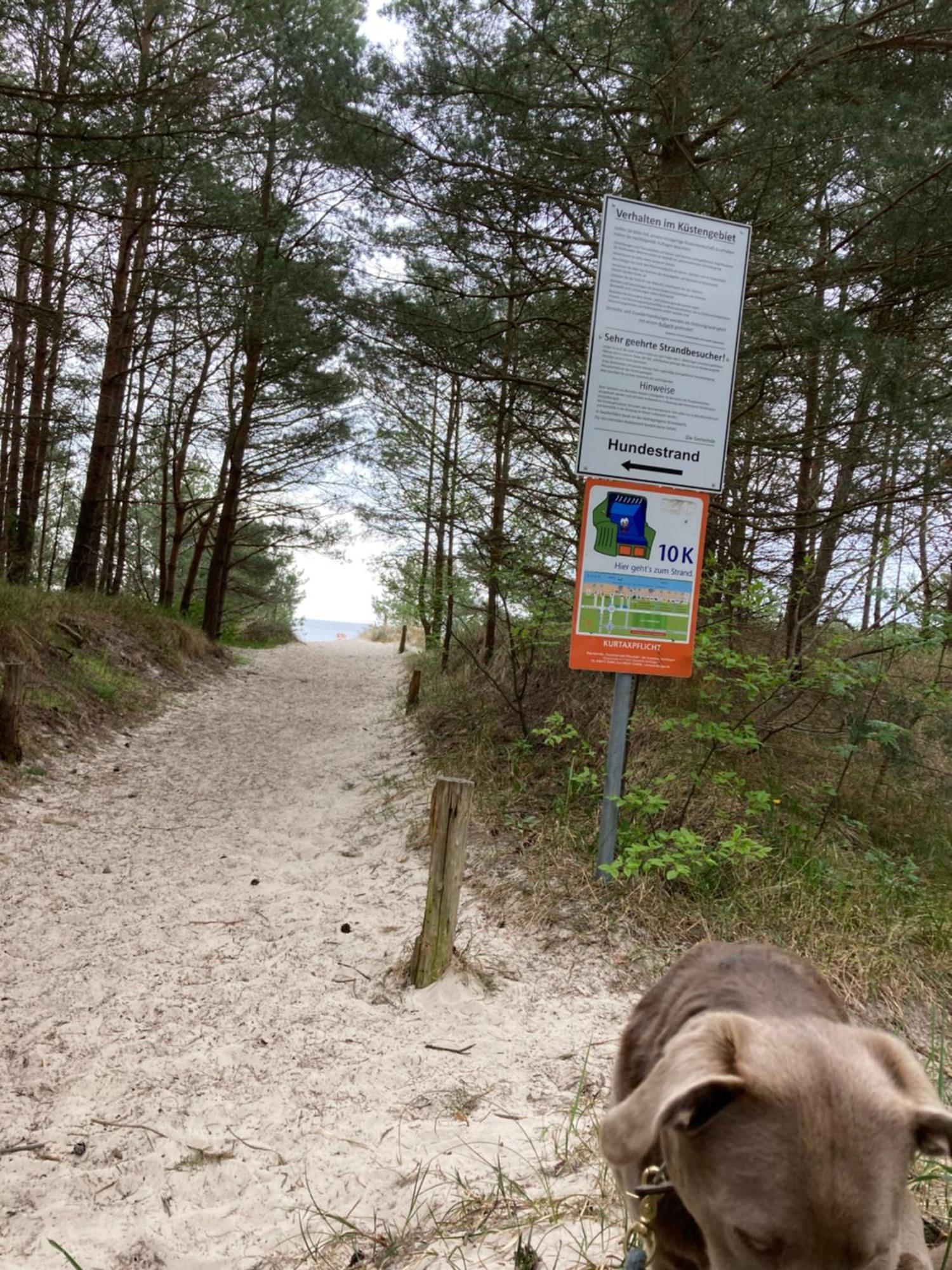 Reet Am Strand Mit Hund Karlshagen ภายนอก รูปภาพ