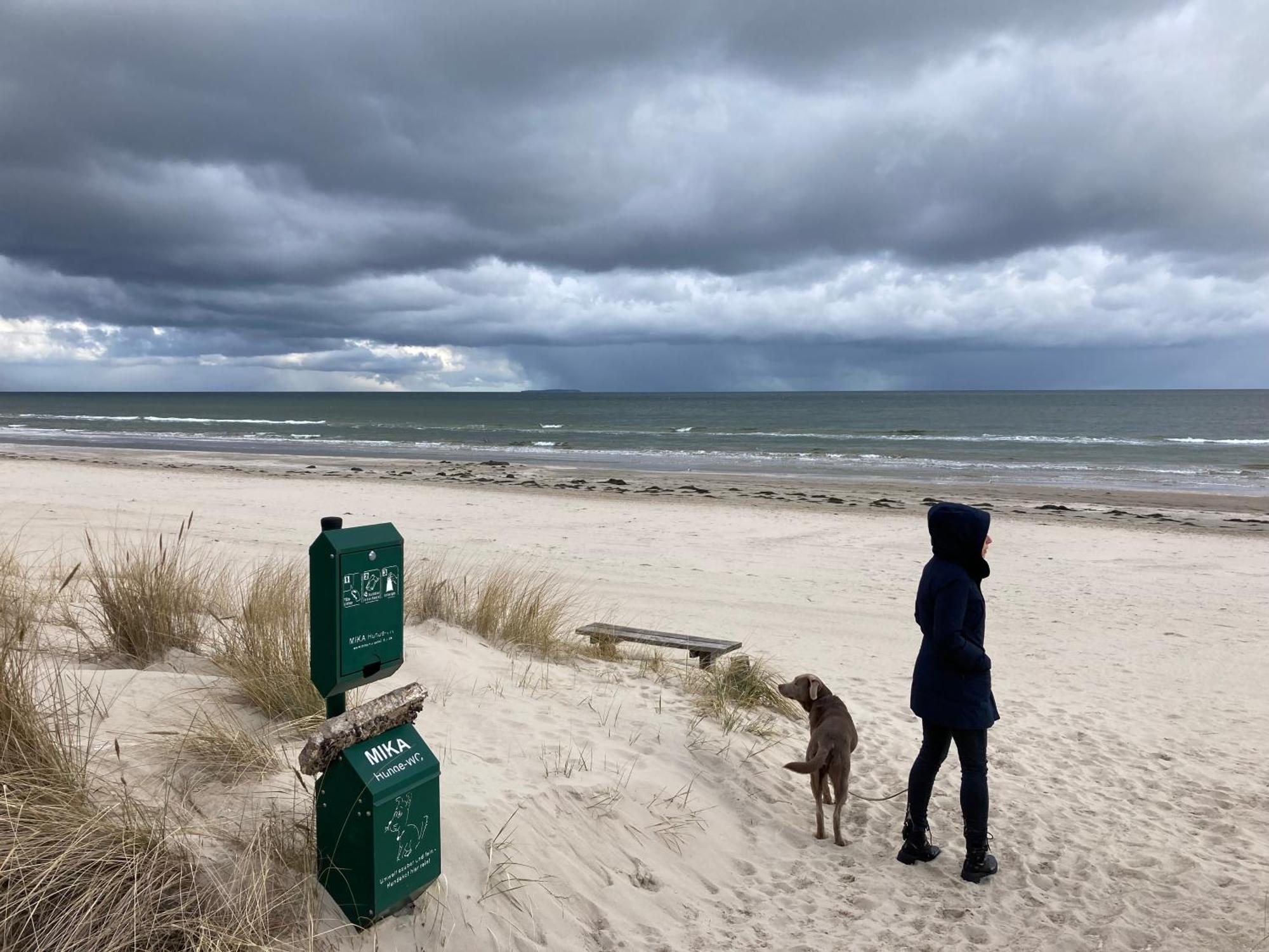 Reet Am Strand Mit Hund Karlshagen ภายนอก รูปภาพ